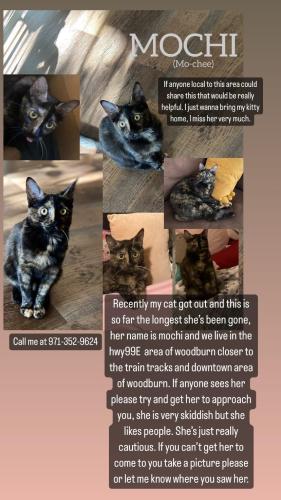 Lost Female Cat last seen Cleveland street , Woodburn, OR 97071