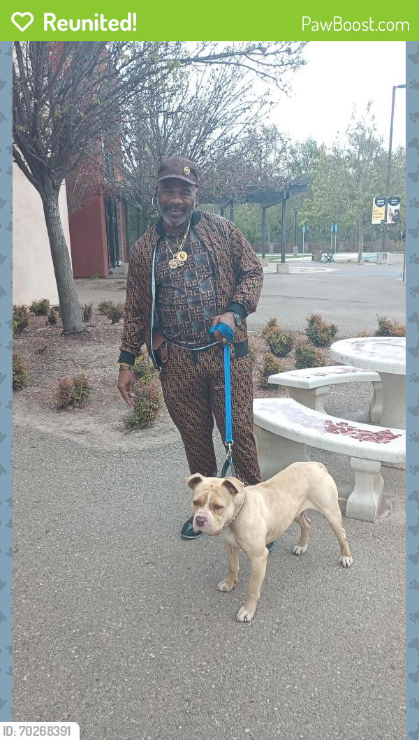 Reunited Male Dog last seen Near Northgate Market in Southcrest, San Diego, CA 92113