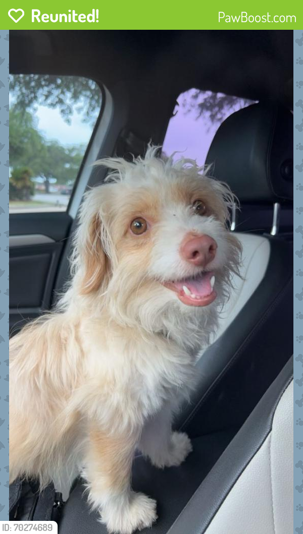 Reunited Male Dog last seen Garland Park, Clute, TX 77531