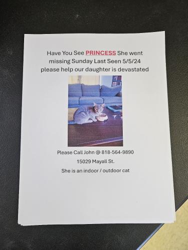 Lost Female Cat last seen Mission Hills, Ca, Los Angeles, CA 91345