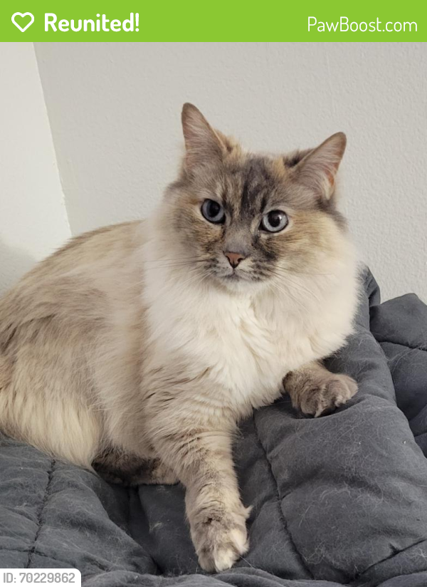 Reunited Female Cat last seen Jordan river, Salt Lake City, UT 84116