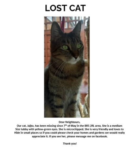 Lost Female Cat last seen Near Mickleham Road, Greater London, England BR5 2RL