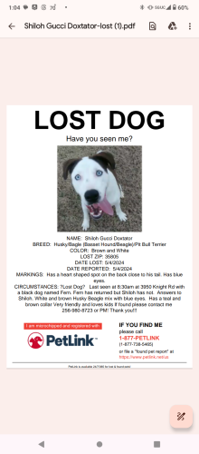 Lost Male Dog last seen Near Knight Rd. SW Huntsville Alabama , Huntsville, AL 35805