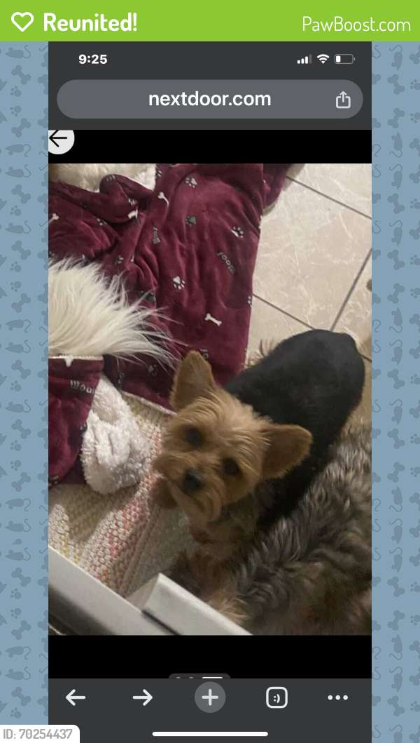 Reunited Male Dog last seen 43rd Ave between Dunlap & Peoria , Glendale, AZ 85051