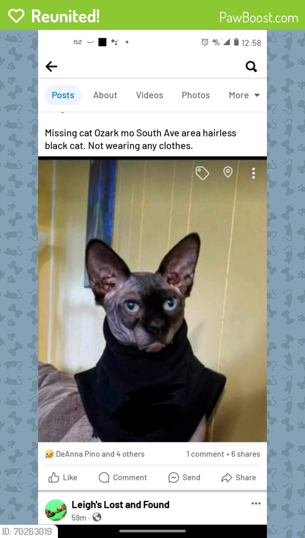 Reunited Male Cat last seen South 3rd Ave , Ozark, MO 65721
