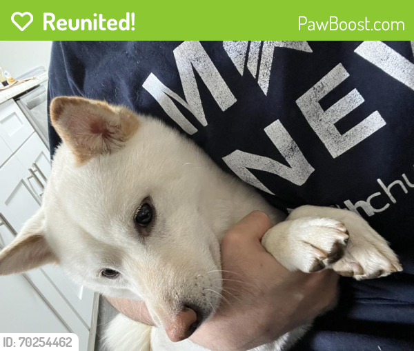 Reunited Male Dog last seen Tyron, Charlotte, NC 28213