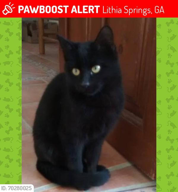 Lost Female Cat last seen Near sweetbriar circle lithia springs Ga, Lithia Springs, GA 30122