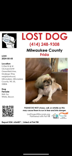 Lost Female Dog last seen 23rd greenfield , Milwaukee, WI 53204