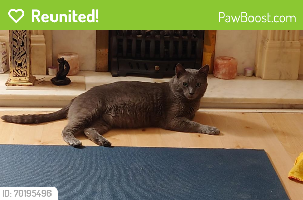 Reunited Male Cat last seen Wimbart Road, Upper Tulse Hill , Greater London, England SW2