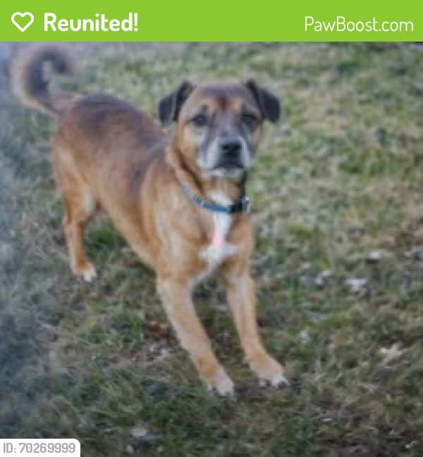 Reunited Male Dog last seen LEBANON, 200 S and Middle Jamestown Road, Lebanon, IN 46052