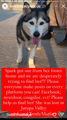 Lost Female Dog last seen 56th and Troth/Marlatt, Jurupa Valley, CA 91752