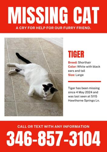 Lost Male Cat last seen Hawthorne Springs Ln., Sugar Land, TX 77479