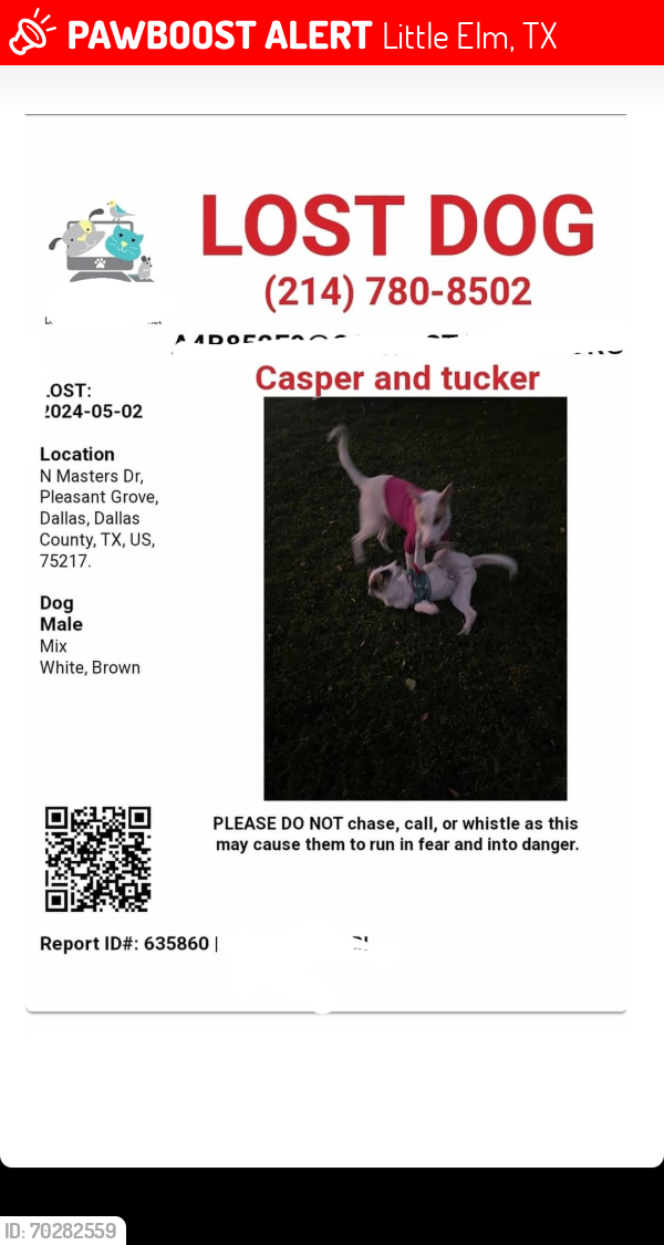 Lost Male Dog last seen Near north master Dr dallas tx , Little Elm, TX 75034