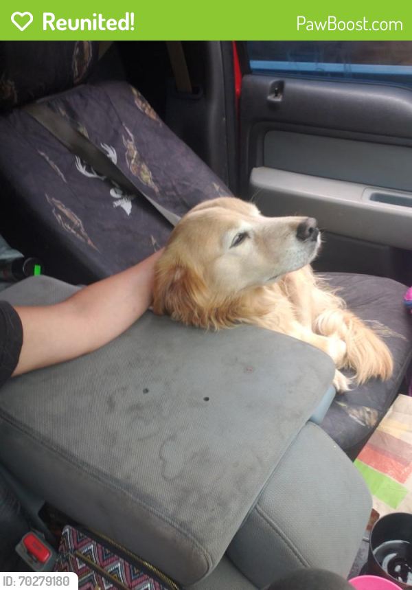 Reunited Male Dog last seen North lakeside dr around Osceola lake, Hendersonville, NC 28739