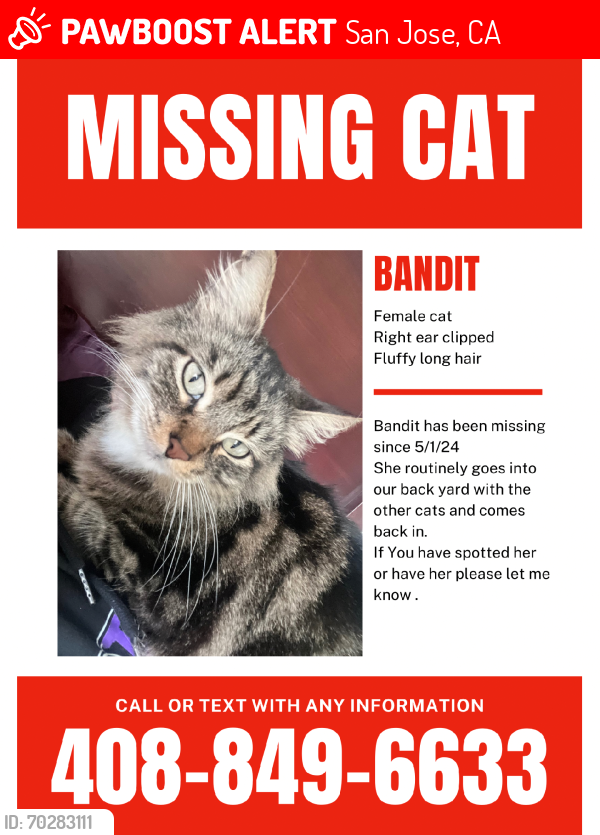 Lost Female Cat last seen Cedro st and Yermo, San Jose, CA 95111