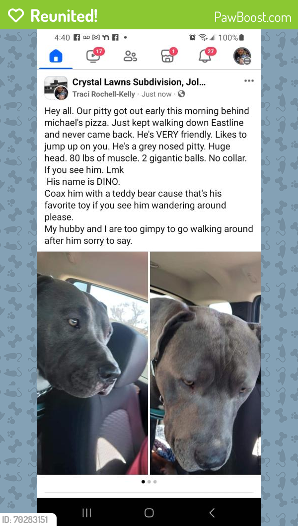 Reunited Male Dog last seen Caton and Essington , Joliet, IL 60431
