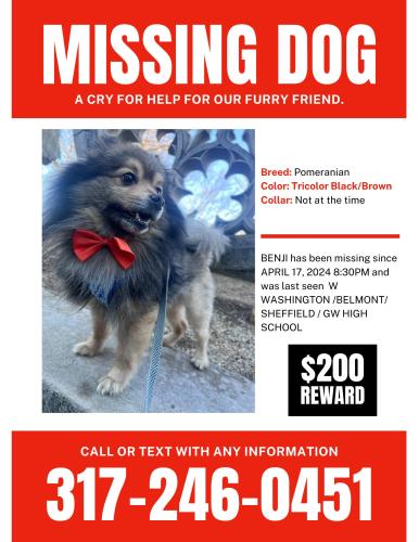 Lost Male Dog last seen West Washington/ Belmont across George Washington high school , Indianapolis, IN 46224