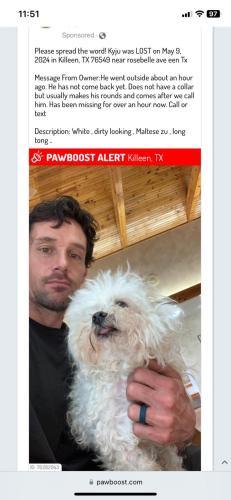 Lost Male Dog last seen Iduma School , Killeen, TX 76549