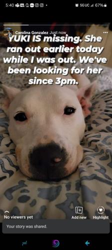Lost Female Dog last seen Jonesboro rd and Doris rd, McDonough, GA 30253