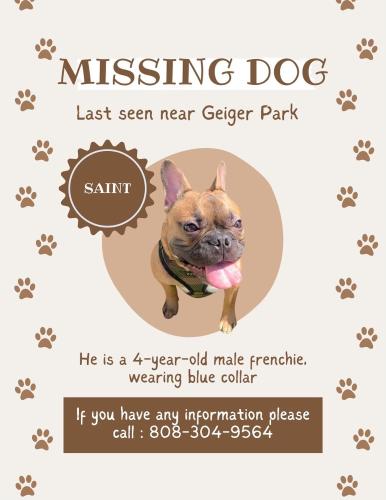 Lost Male Dog last seen geiger park, Ewa Beach, HI 96706