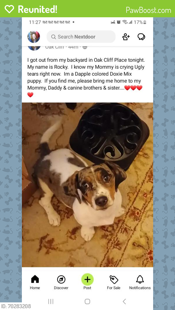 Reunited Male Dog last seen Oak Acres, Houston, TX 77065