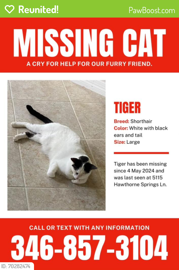 Reunited Male Cat last seen Hawthorne Springs Ln., Sugar Land, TX 77479