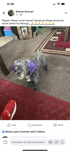 Lost Female Other last seen Vermont and 54 th, Los Angeles, CA 90037
