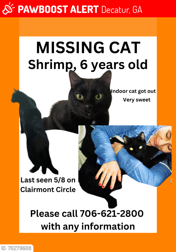 Deceased Male Cat last seen Clairmont Circle , Decatur, GA 30033