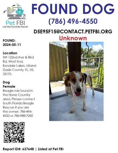 Found/Stray Female Dog last seen Sw 122 Ave & sw 40 St, Kendale Lakes, FL 33175