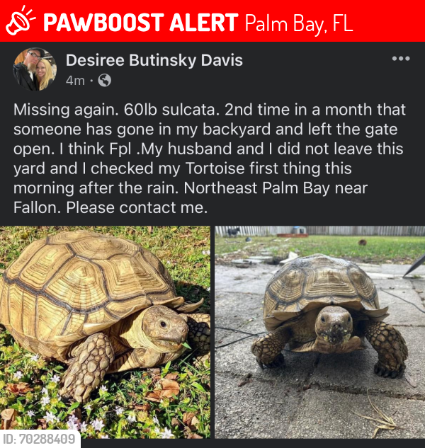 Lost Male Other last seen Fallon, Palm Bay, FL 32907