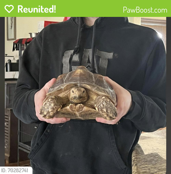 Reunited Female Reptile last seen Windy hill’s ests in azle tx, Parker County, TX 76020