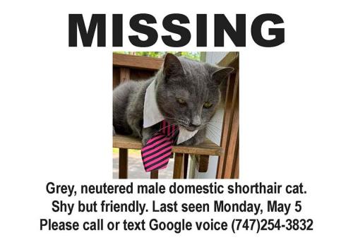 Lost Male Cat last seen Emory Valley and Baylor, Oak Ridge, TN 37830