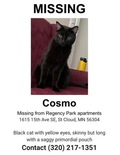 Lost Male Cat last seen Near 15th ave SE, St Cloud MN, St. Cloud, MN 56304