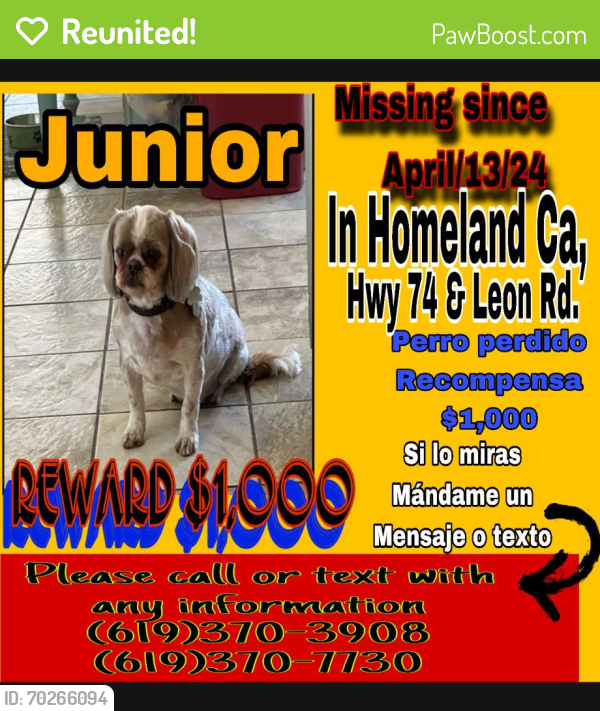 Reunited Male Dog last seen Hey 74 & Leon Rd., Homeland, CA 92548