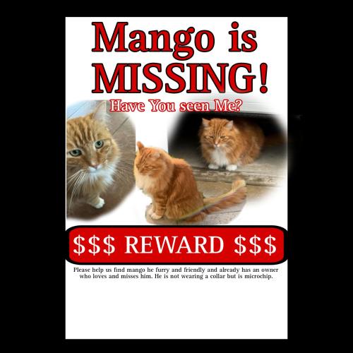 Lost Male Cat last seen windham bay cir. woodward lake, Fresno, CA 93730