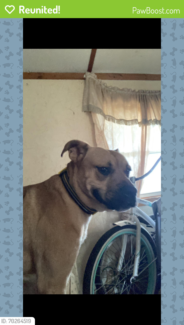 Reunited Male Dog last seen Indian Run Wooster Ohio , Wooster Township, OH 44691
