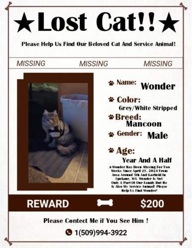 Lost Male Cat last seen 5th and Garfield, Spokane, WA 99202