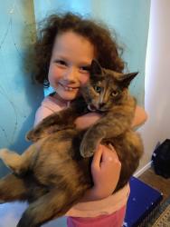 Lost Female Cat last seen Douglas Rd & S Church Rd, Ferndale, WA 98248