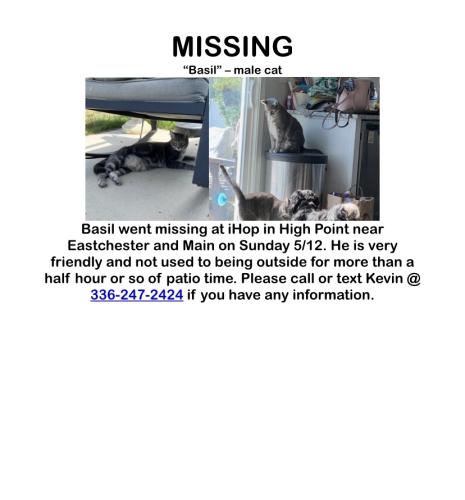 Lost Male Cat last seen IHOP , High Point, NC 27260