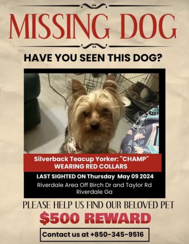 Lost Male Dog last seen Taylor rd and birch walk drive, Riverdale, GA 30274