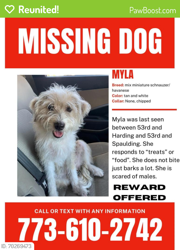 Reunited Female Dog last seen 53rd and Harding by the McDonald’s , Chicago, IL 60632
