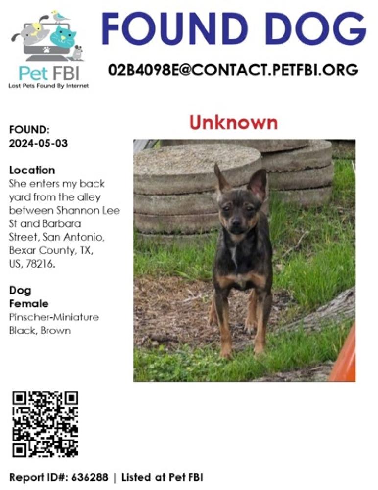 Shelter Stray Unknown Dog last seen Mesquite, TX 75149, San Antonio, TX 78229