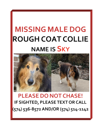 Lost Male Dog last seen Miami and Johnson - Southside of South Bend , South Bend, IN 46614