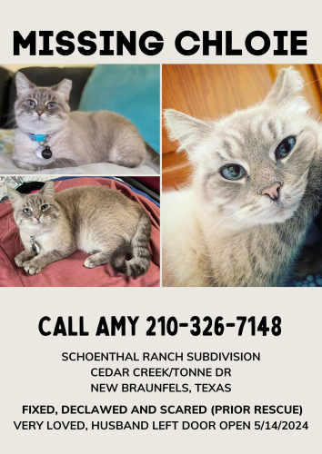 Lost Female Cat last seen Garden Ridge/New Braunfels TX, New Braunfels, TX 78132