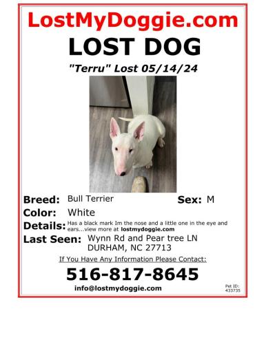 Lost Male Dog last seen S Alston ave Durham , Durham, NC 27707