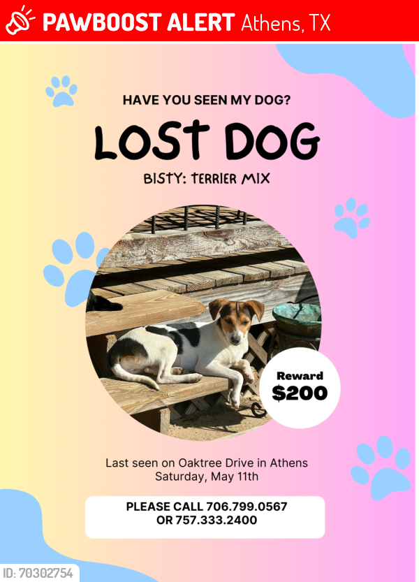 Lost Female Dog last seen Pine Lake Dr and Oak tree dr , Athens, TX 75751