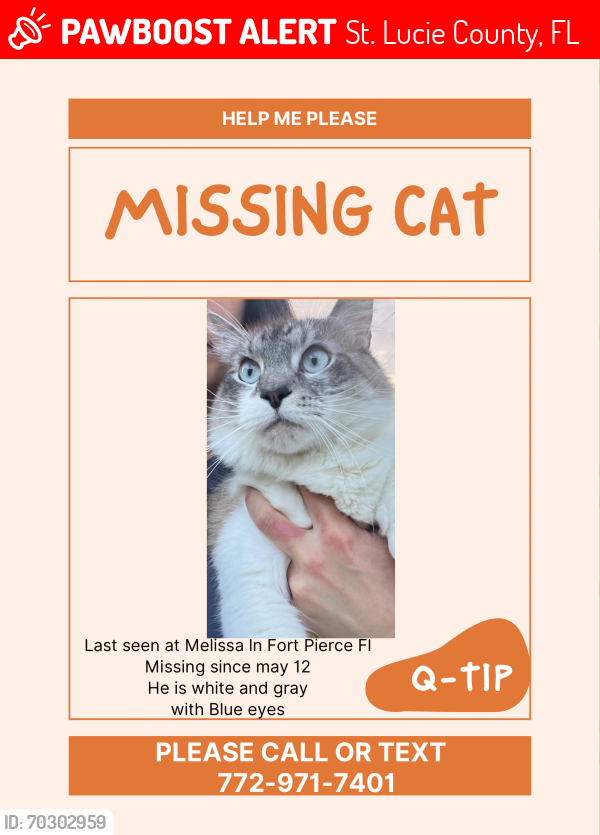 Lost Male Cat last seen Melissa ln, St. Lucie County, FL 34946