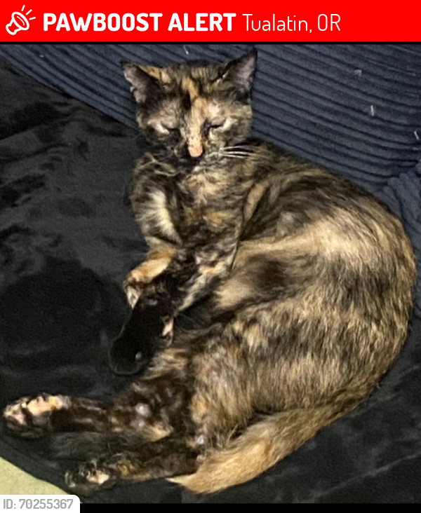 Lost Female Cat last seen Near SW Pacific Hwy (99W) Tualatin, OR 97062 United States, Tualatin, OR 97062