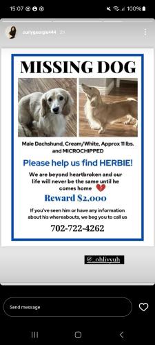 Lost Male Dog last seen was , Las Vegas, NV 89101