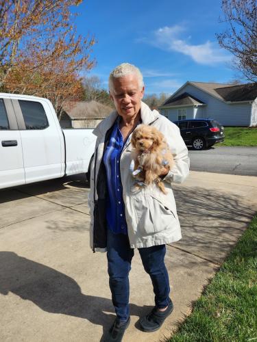 Lost Female Dog last seen Lake Jeanette Road, Greensboro, NC 27455